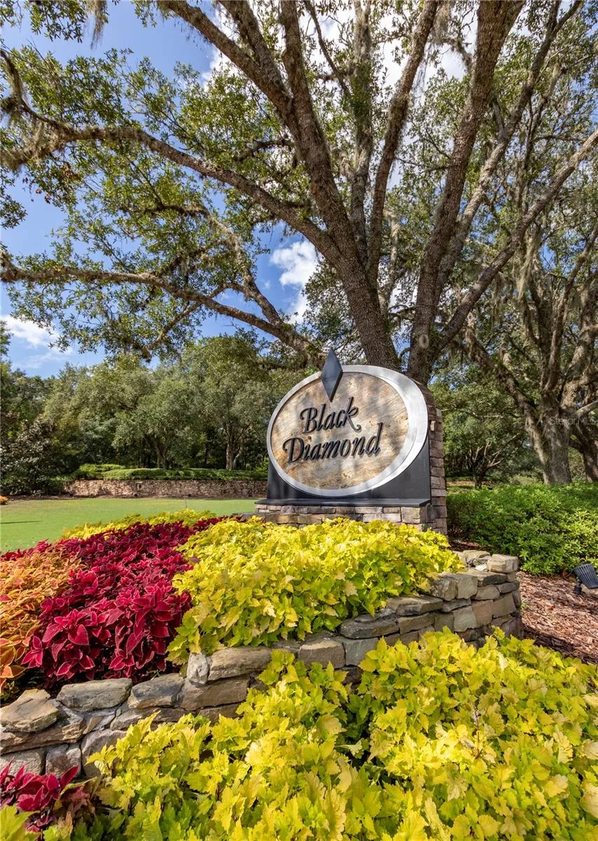 3099 BARTON CREEK CIRCLE Lecanto, FL 34461