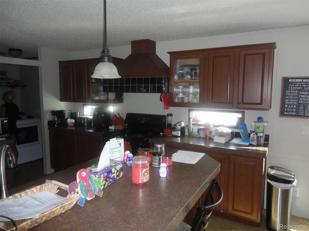 955 CAMERON CIRCLE Raisinville Township, MI 48161