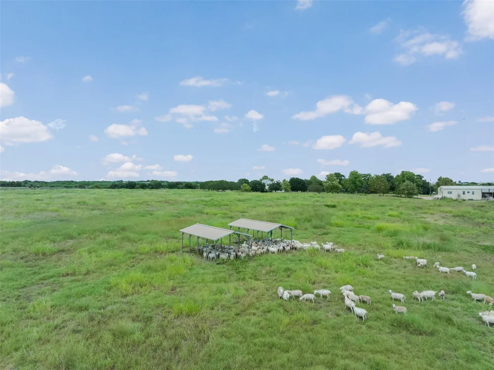 5255 Ganske Road Burton, TX 77835