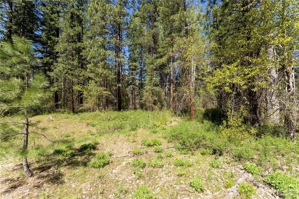 19 Green Road Winthrop, WA 98862