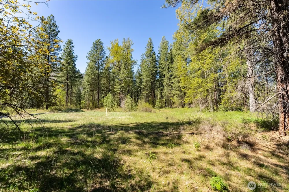 19 Green Road Winthrop, WA 98862