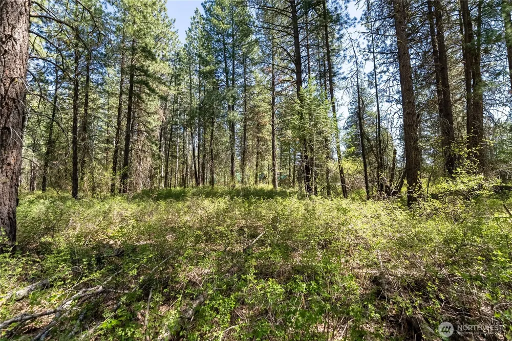 19 Green Road Winthrop, WA 98862