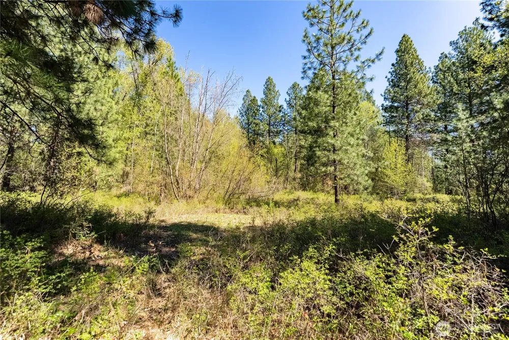 19 Green Road Winthrop, WA 98862