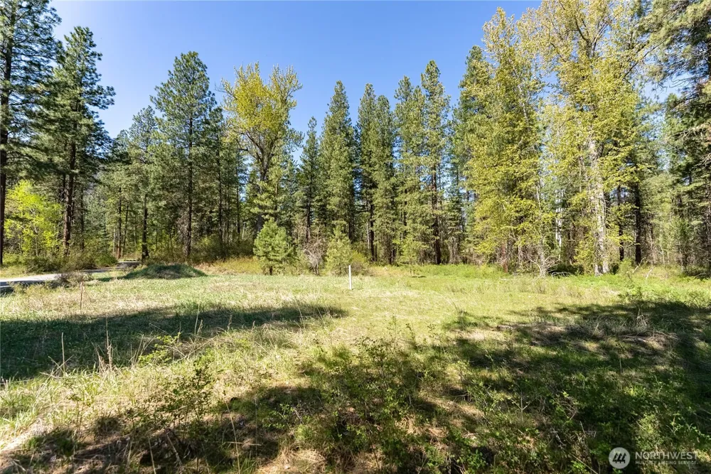19 Green Road Winthrop, WA 98862