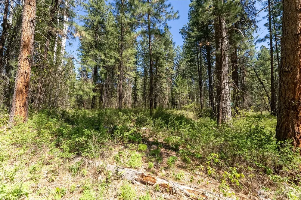 19 Green Road Winthrop, WA 98862