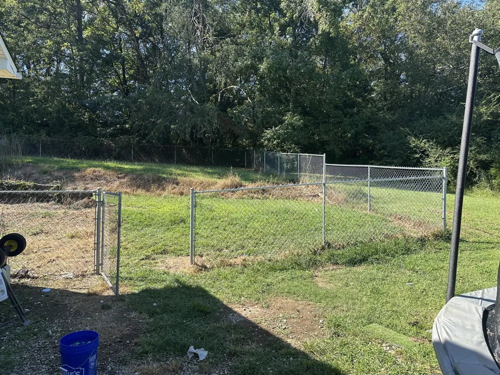 355 Brandy Hills Drive South Pittsburg, TN 37380