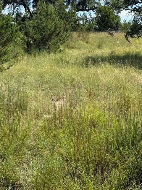 137 W Pat Dolan Blanco, TX 78606