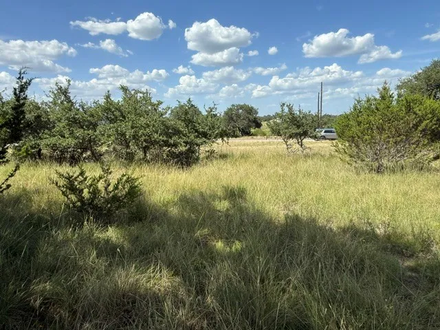 137 W Pat Dolan Blanco, TX 78606