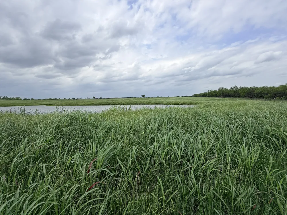 192 Fm 1183 Alma, TX 75119