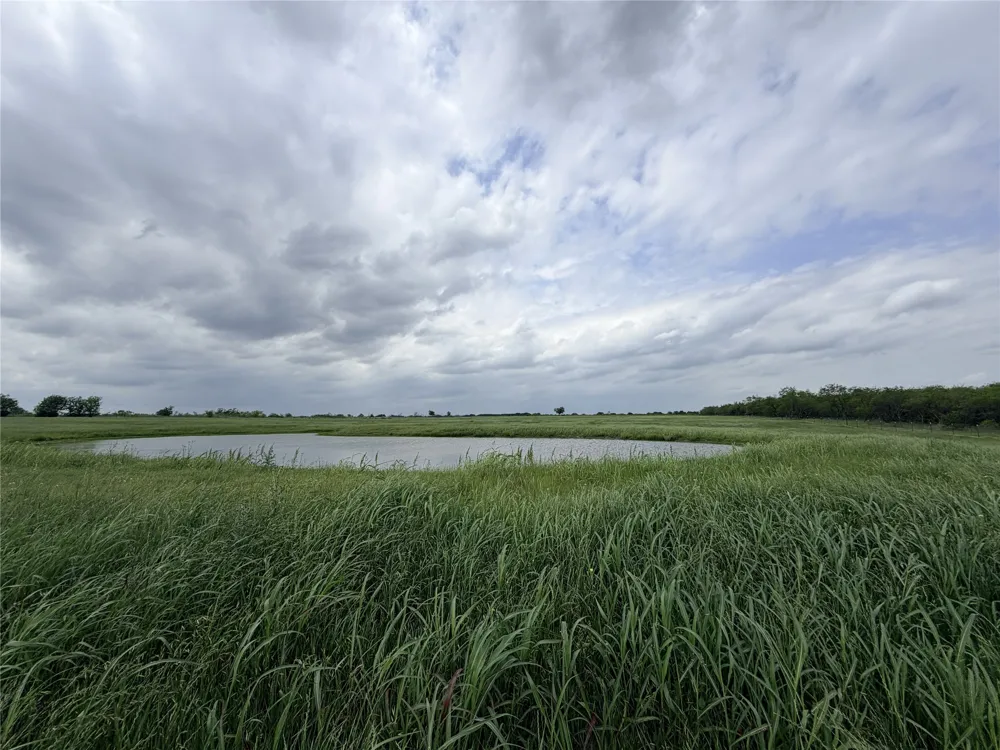 192 Fm 1183 Alma, TX 75119
