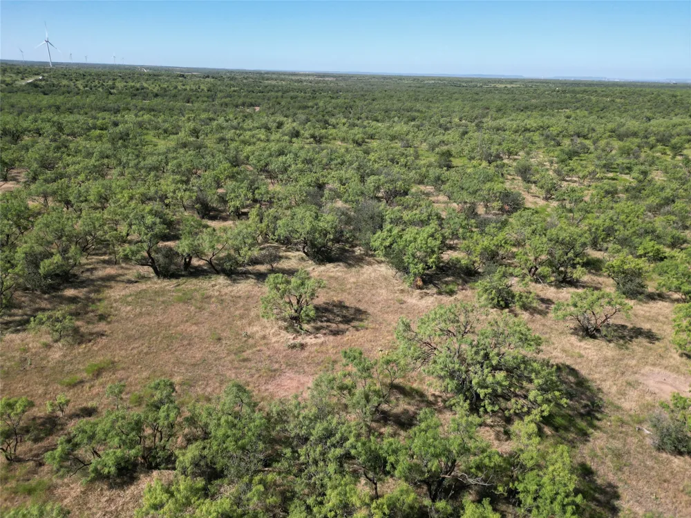 Highway 206 Cisco, TX 76437