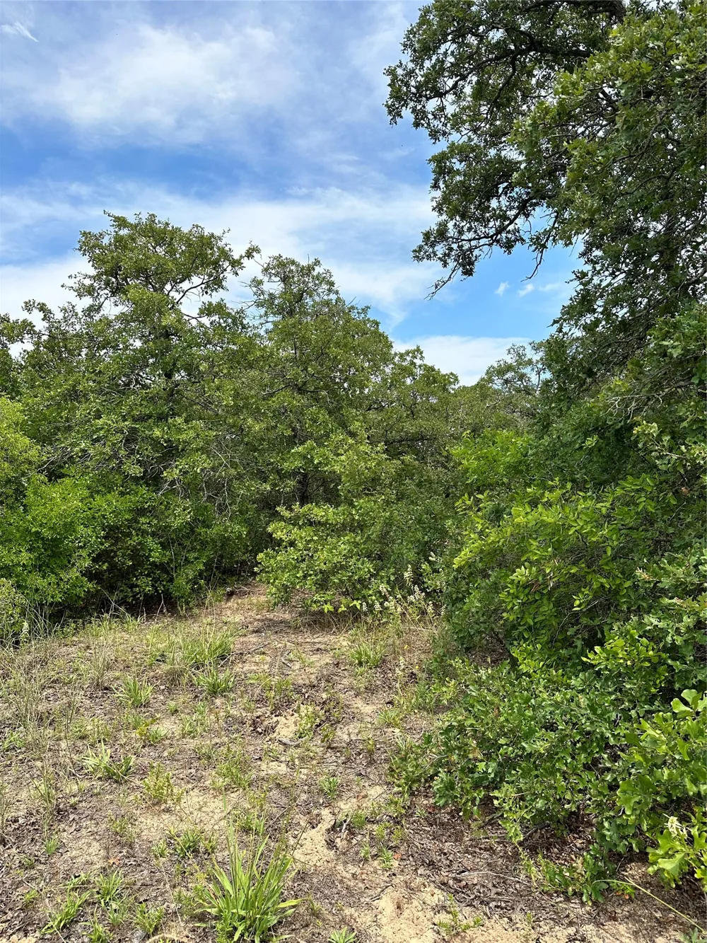 Highway 206 Cisco, TX 76437