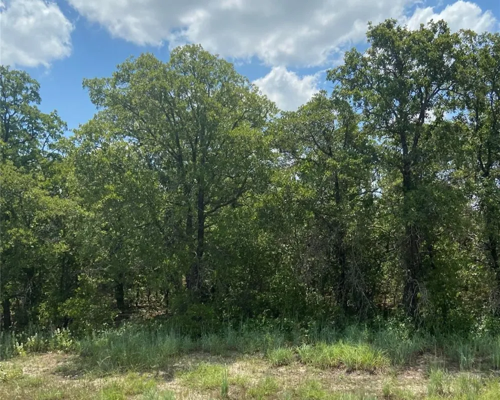 Highway 206 Cisco, TX 76437