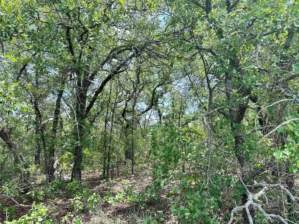 Highway 206 Cisco, TX 76437
