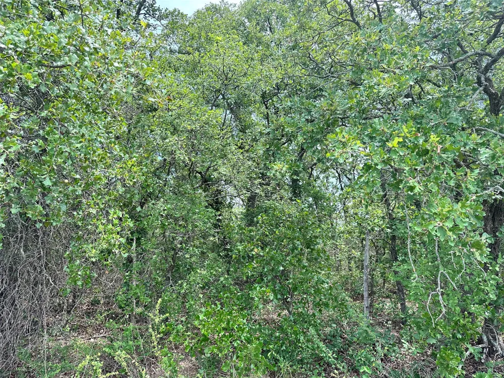 Highway 206 Cisco, TX 76437