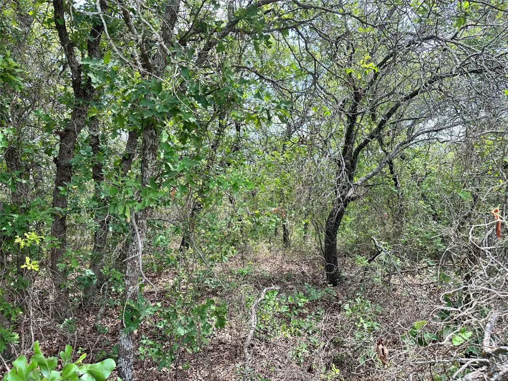 Highway 206 Cisco, TX 76437