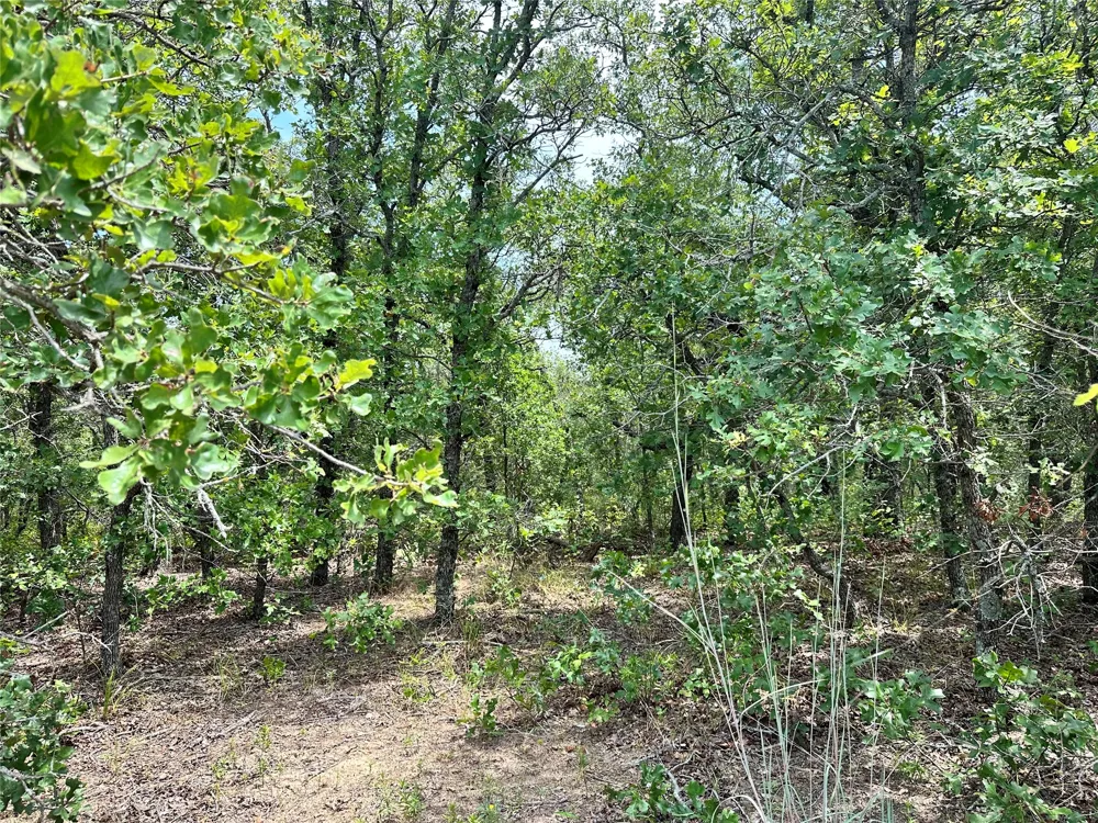 Highway 206 Cisco, TX 76437