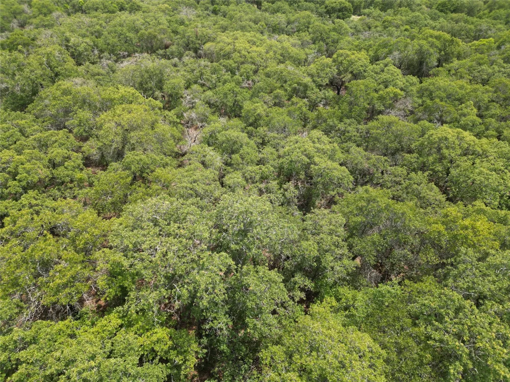 Highway 206 Cisco, TX 76437