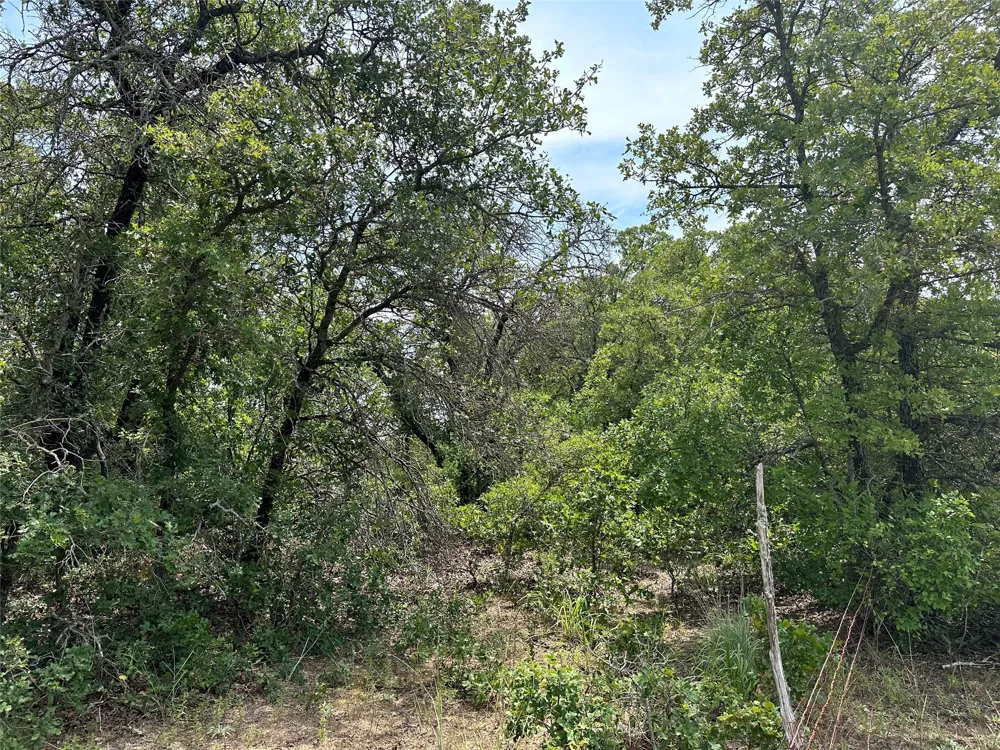 Highway 206 Cisco, TX 76437