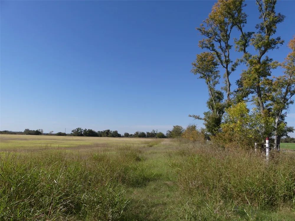 1 Farm Market 1749 Forestburg, TX 76239