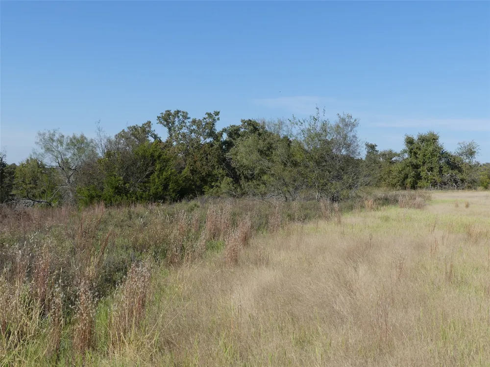 1 Farm Market 1749 Forestburg, TX 76239