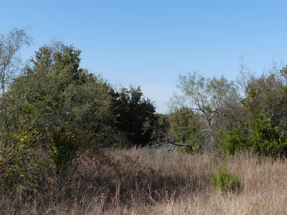 1 Farm Market 1749 Forestburg, TX 76239