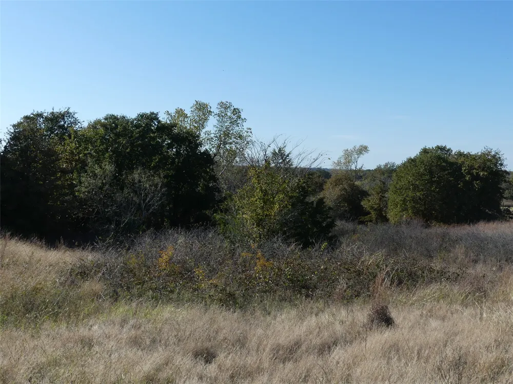 1 Farm Market 1749 Forestburg, TX 76239