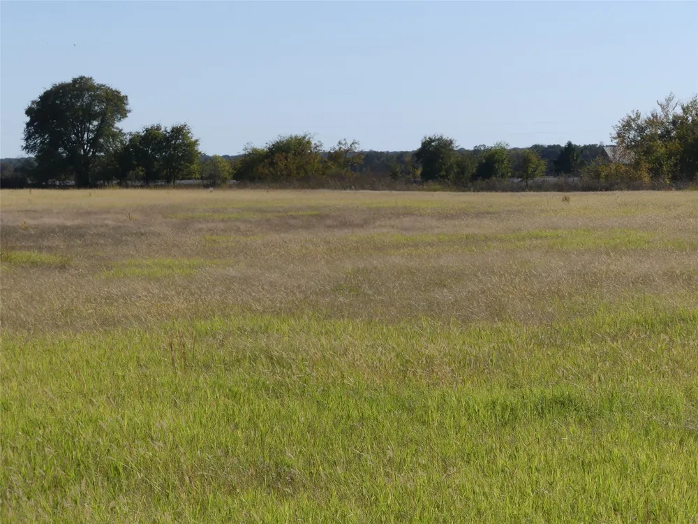 1 Farm Market 1749 Forestburg, TX 76239