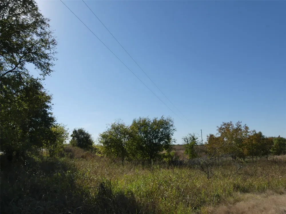 1 Farm Market 1749 Forestburg, TX 76239