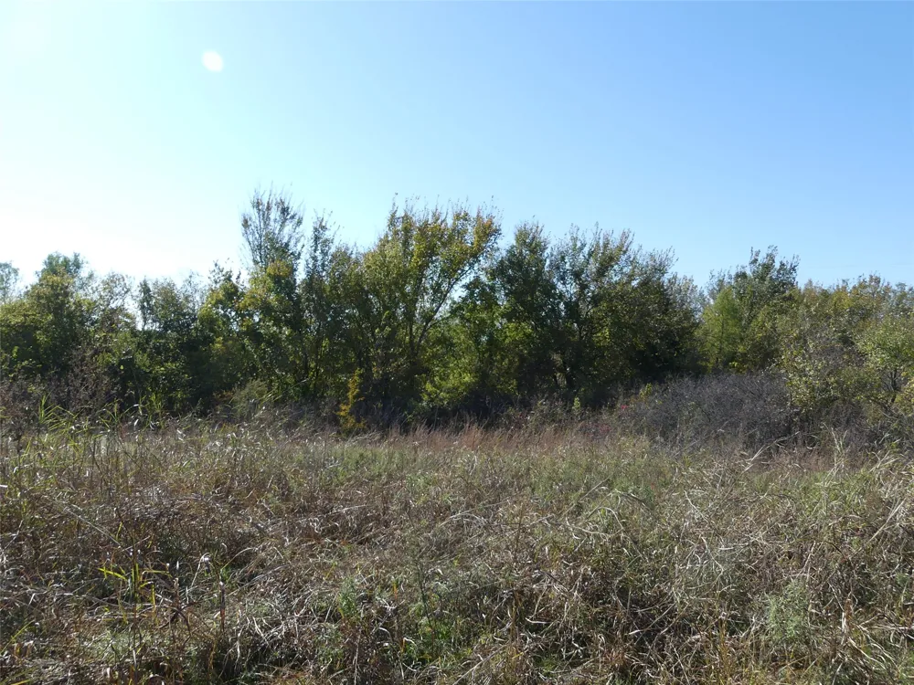 1 Farm Market 1749 Forestburg, TX 76239