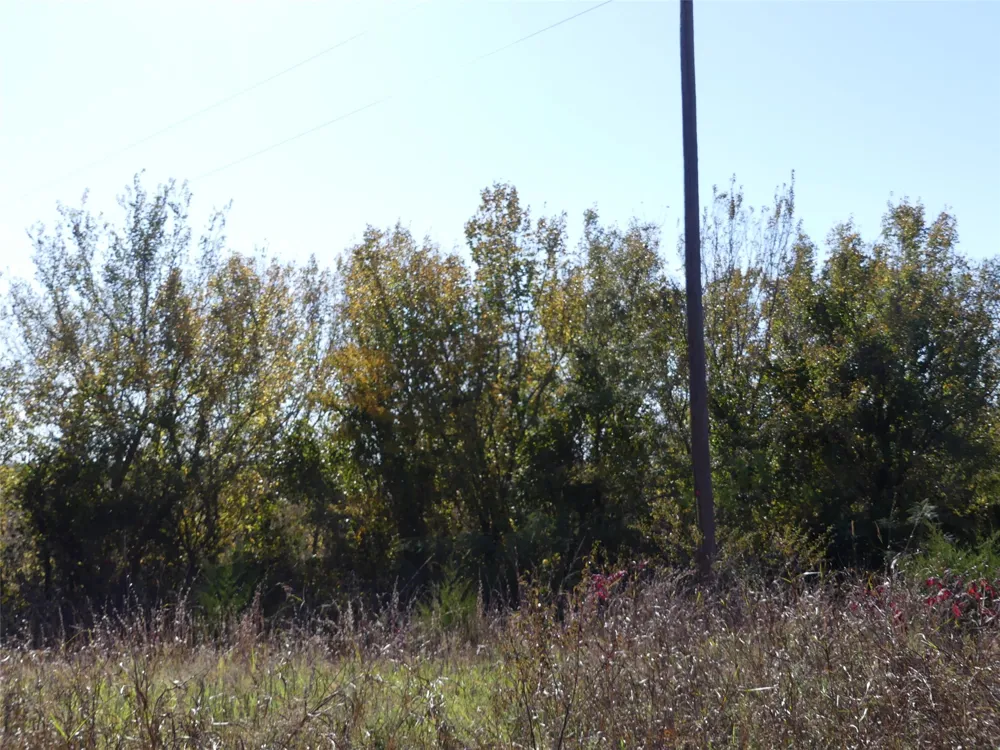 1 Farm Market 1749 Forestburg, TX 76239