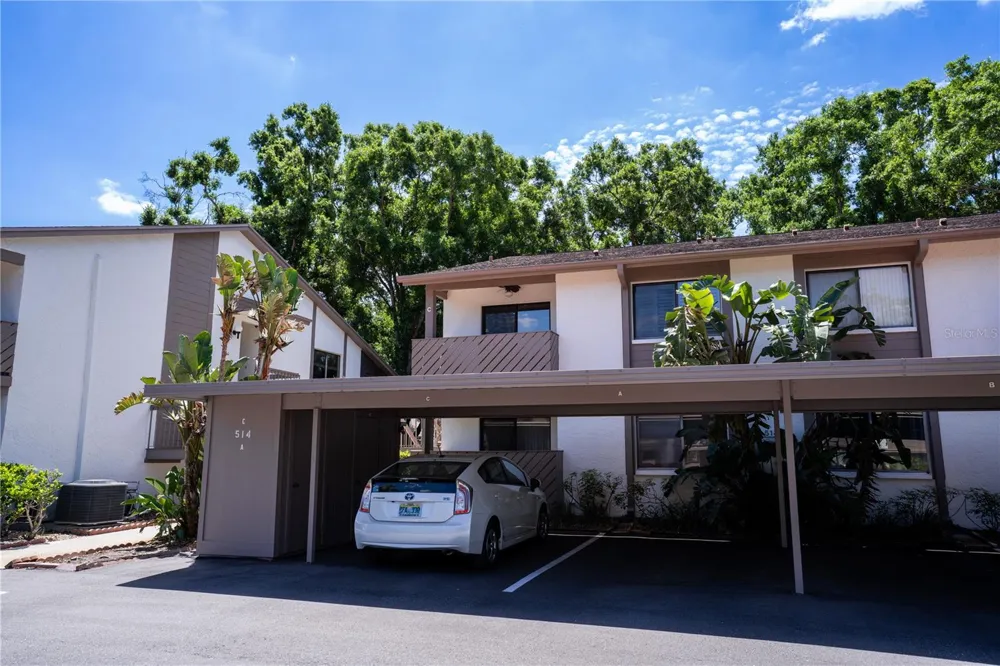 514 TABOR COURT #C Safety Harbor, FL 34695