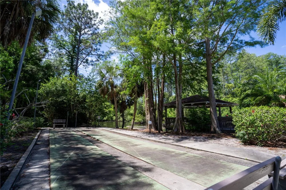 514 TABOR COURT #C Safety Harbor, FL 34695