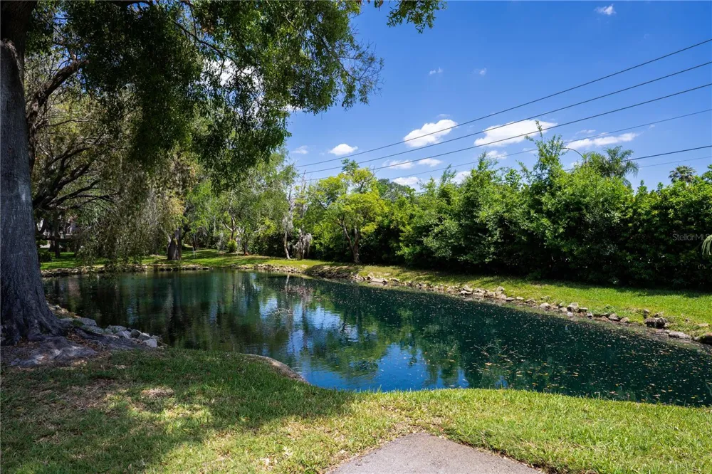 514 TABOR COURT #C Safety Harbor, FL 34695