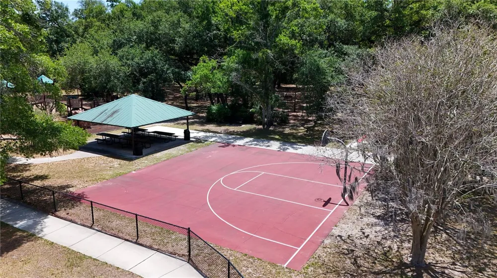 514 TABOR COURT #C Safety Harbor, FL 34695