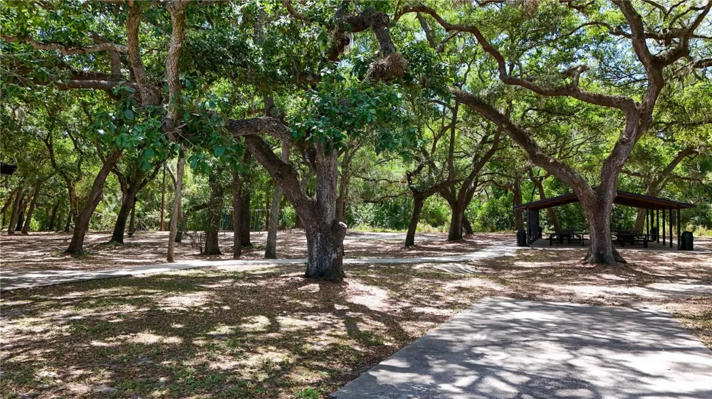 514 TABOR COURT #C Safety Harbor, FL 34695