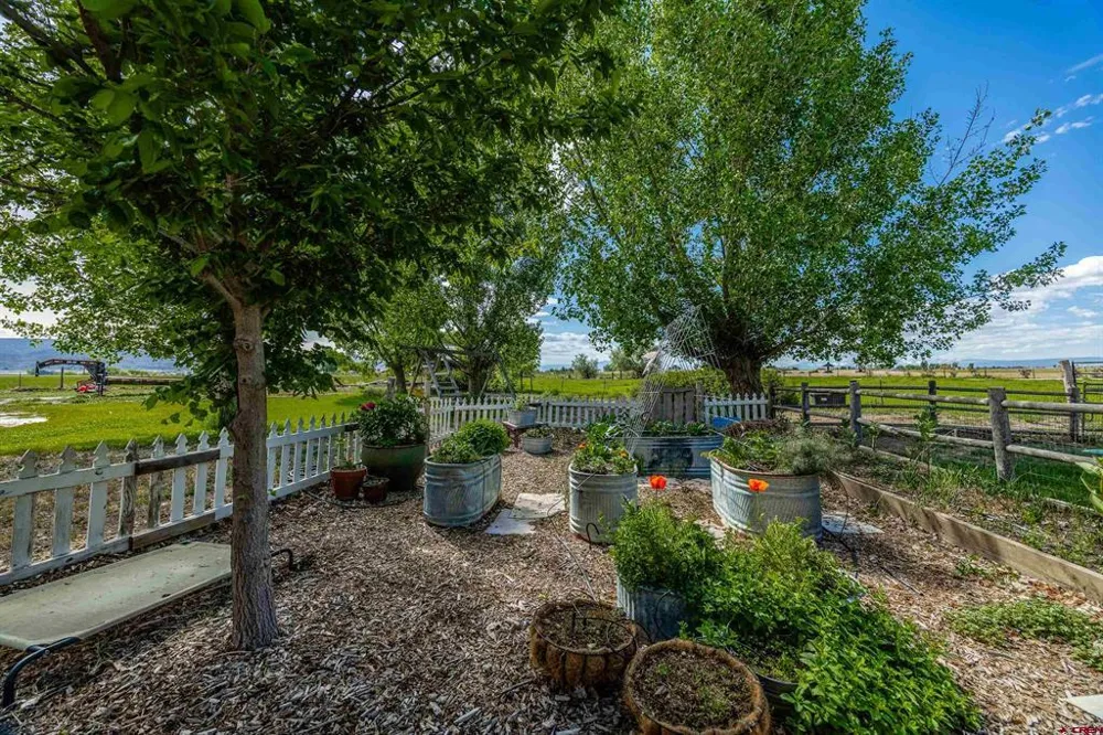 5184 6000 ROAD Olathe, CO 81425