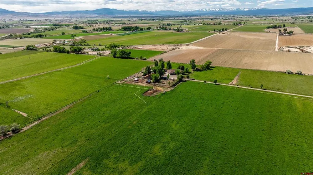 5184 6000 ROAD Olathe, CO 81425