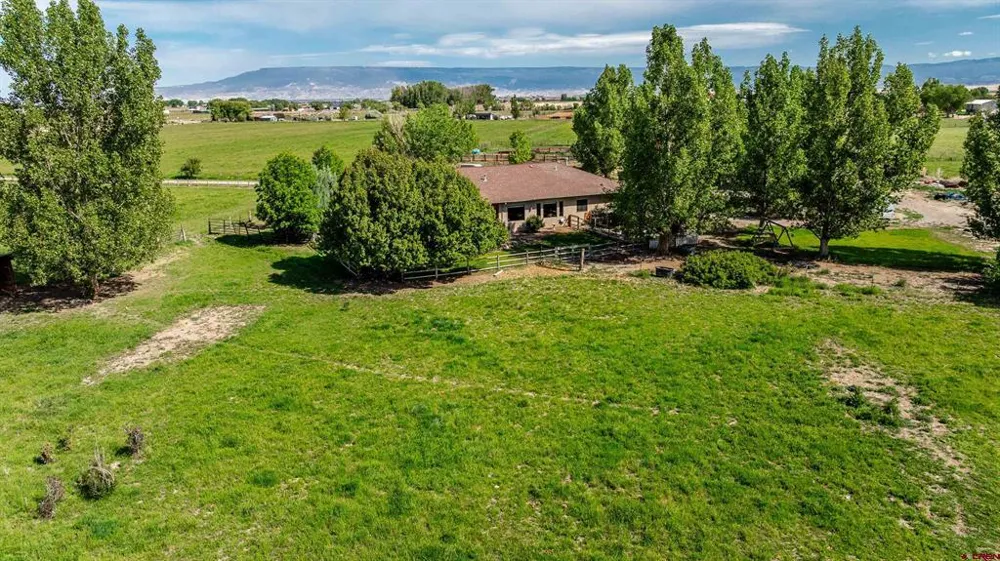 5184 6000 ROAD Olathe, CO 81425