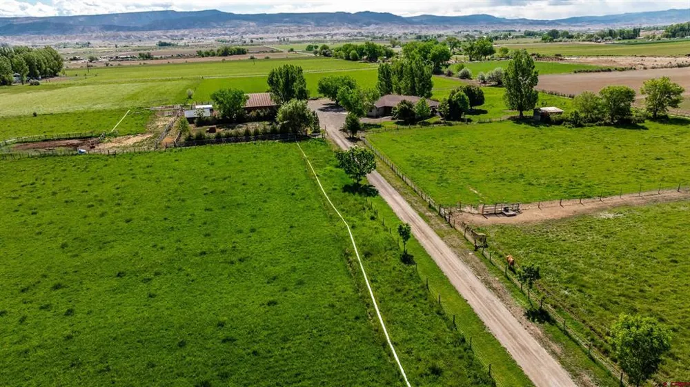 5184 6000 ROAD Olathe, CO 81425