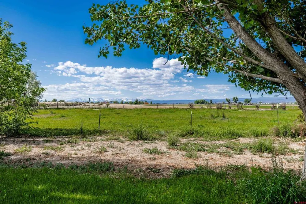 5184 6000 ROAD Olathe, CO 81425