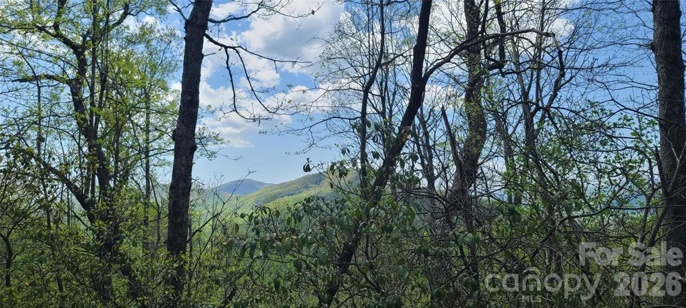 102 High Cliffs Trail Black Mountain, NC 28711
