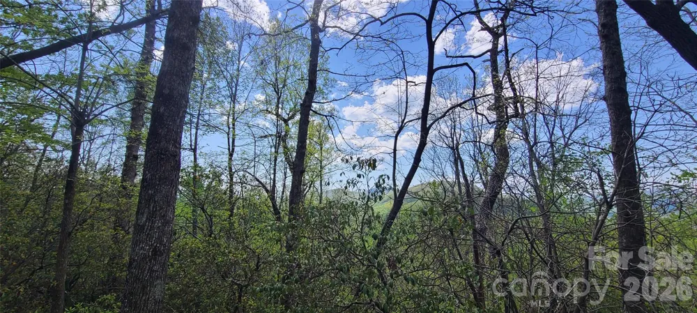 102 High Cliffs Trail Black Mountain, NC 28711