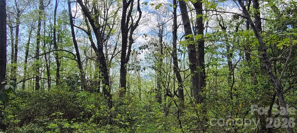 102 High Cliffs Trail Black Mountain, NC 28711