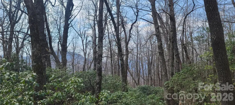 102 High Cliffs Trail Black Mountain, NC 28711
