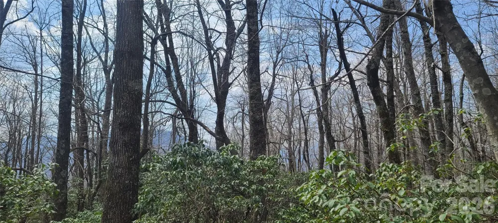 102 High Cliffs Trail Black Mountain, NC 28711