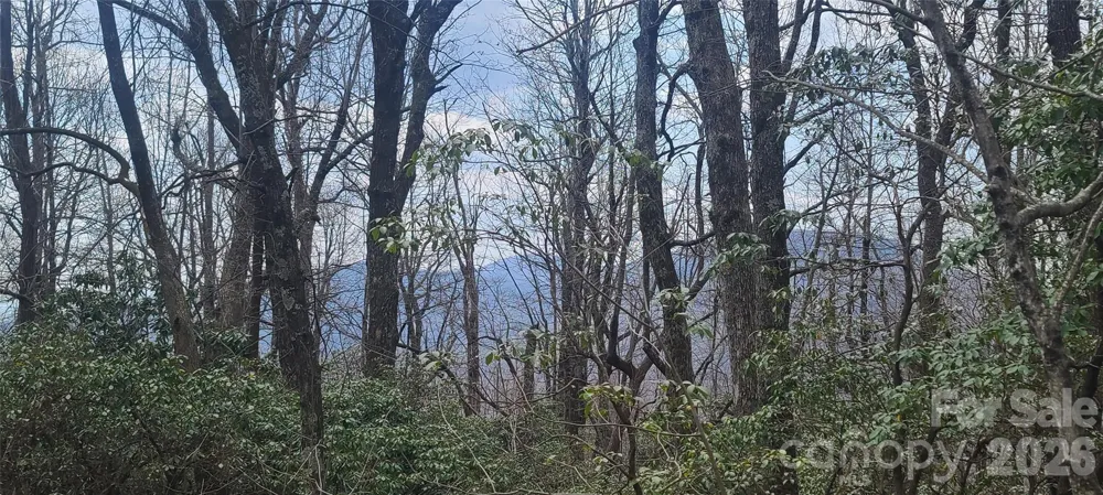 102 High Cliffs Trail Black Mountain, NC 28711