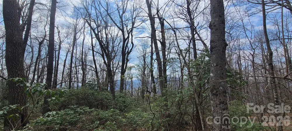 102 High Cliffs Trail Black Mountain, NC 28711
