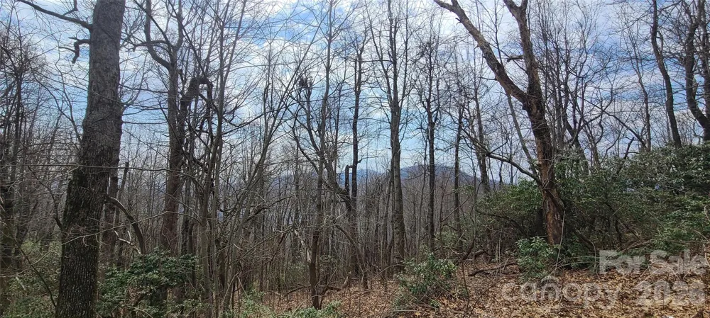 102 High Cliffs Trail Black Mountain, NC 28711