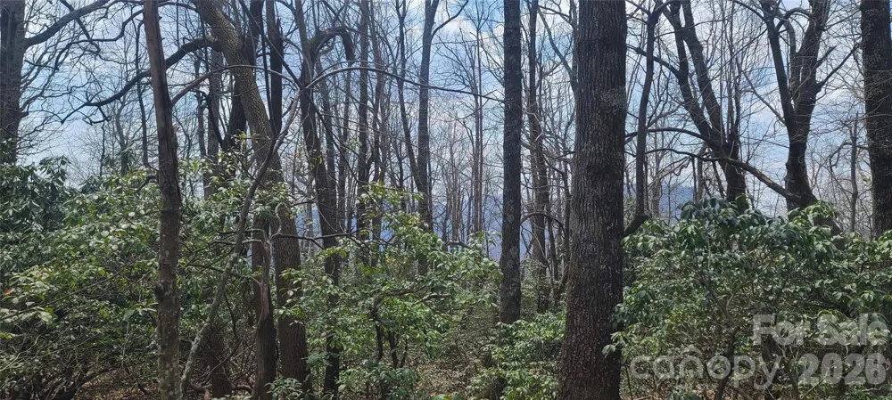 102 High Cliffs Trail Black Mountain, NC 28711